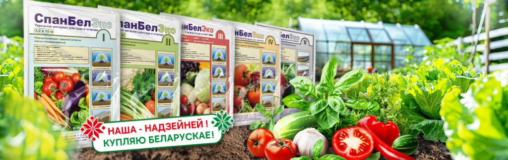 СпанБелЭко