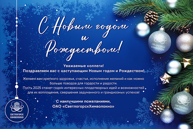 C Новым годом_2025.jpg