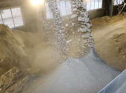 Вклад в зеленое будущее