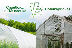 Спанбонд и ПЭ-пленка VS поликарбонат. Почему гибкие решения — выбор современного агрария